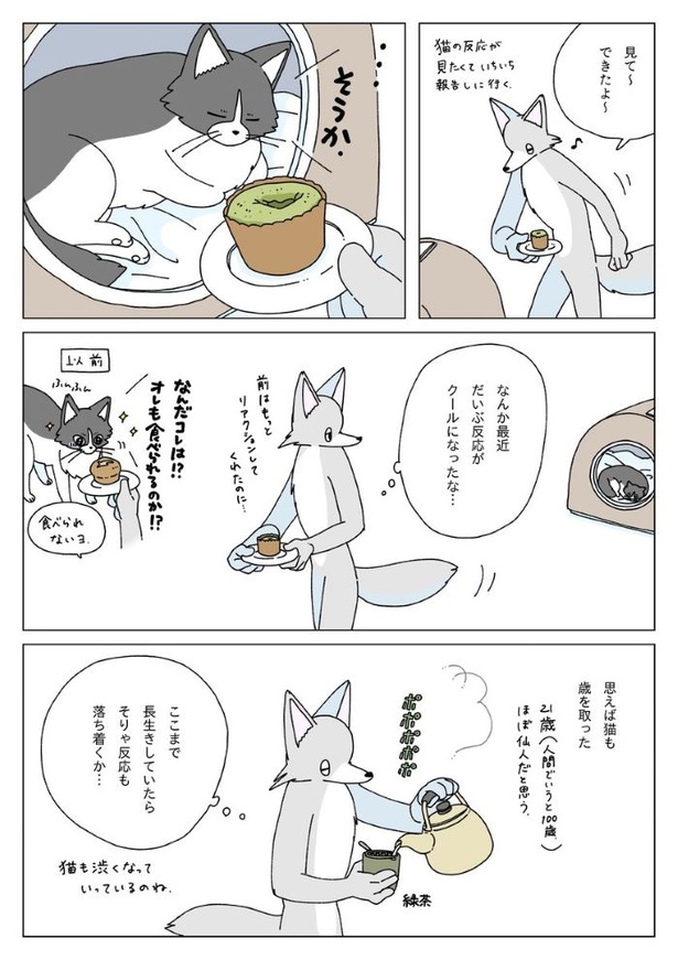 『初夏の日に緑茶のフォンダンショコラを焼く話』11