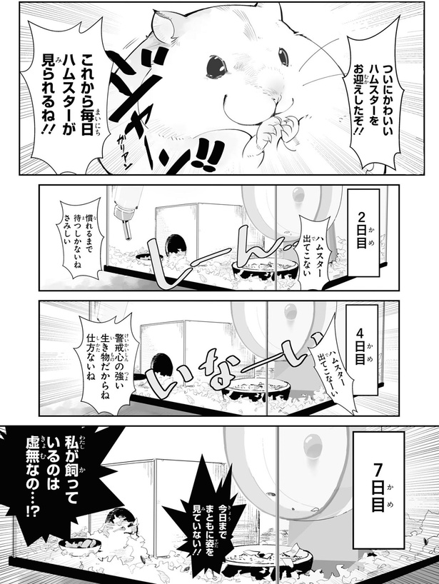 ハムスター出てこない （C）はむはむ／KADOKAWA