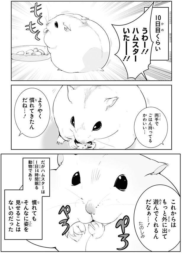 ようやく慣れてきたんだね…！ （C）はむはむ／KADOKAWA