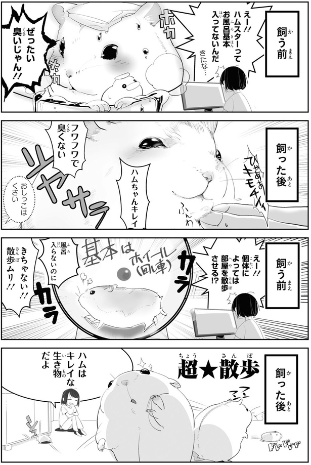 ハムちゃんキレイ （C）はむはむ／KADOKAWA