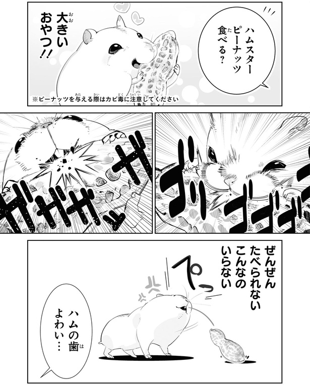 ピーナッツ食べる？ （C）はむはむ／KADOKAWA