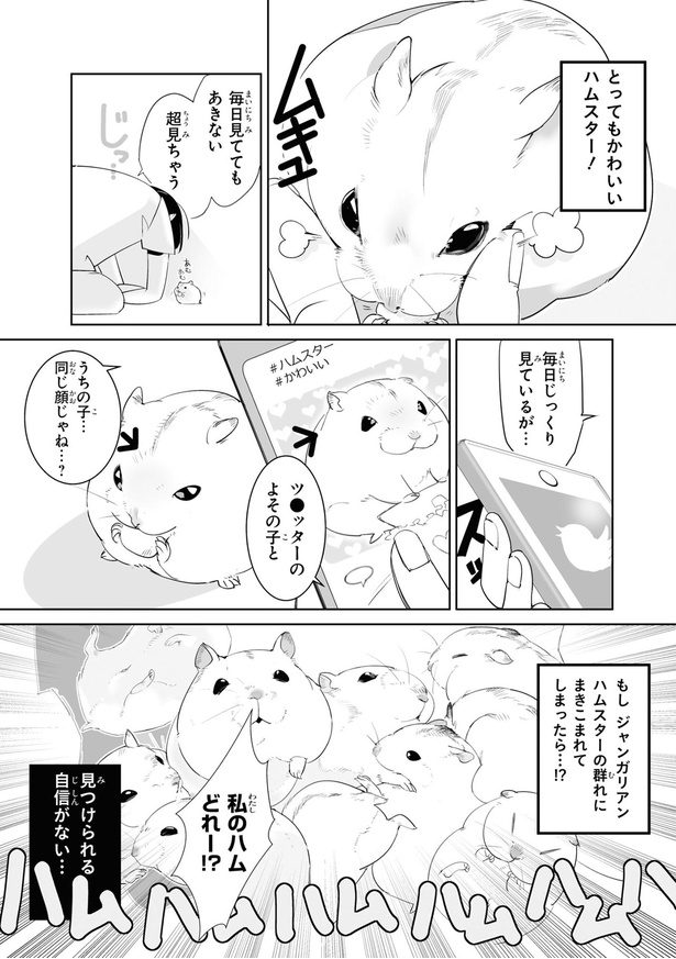 毎日見ててもあきない （C）はむはむ／KADOKAWA