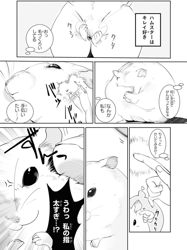 毛づくろいしてる （C）はむはむ／KADOKAWA