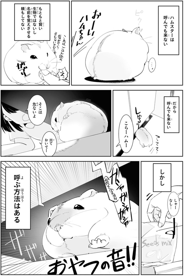 出ておいでー （C）はむはむ／KADOKAWA