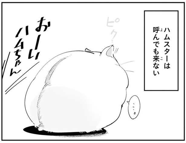 ハムスターは呼んでも来ない （C）はむはむ／KADOKAWA