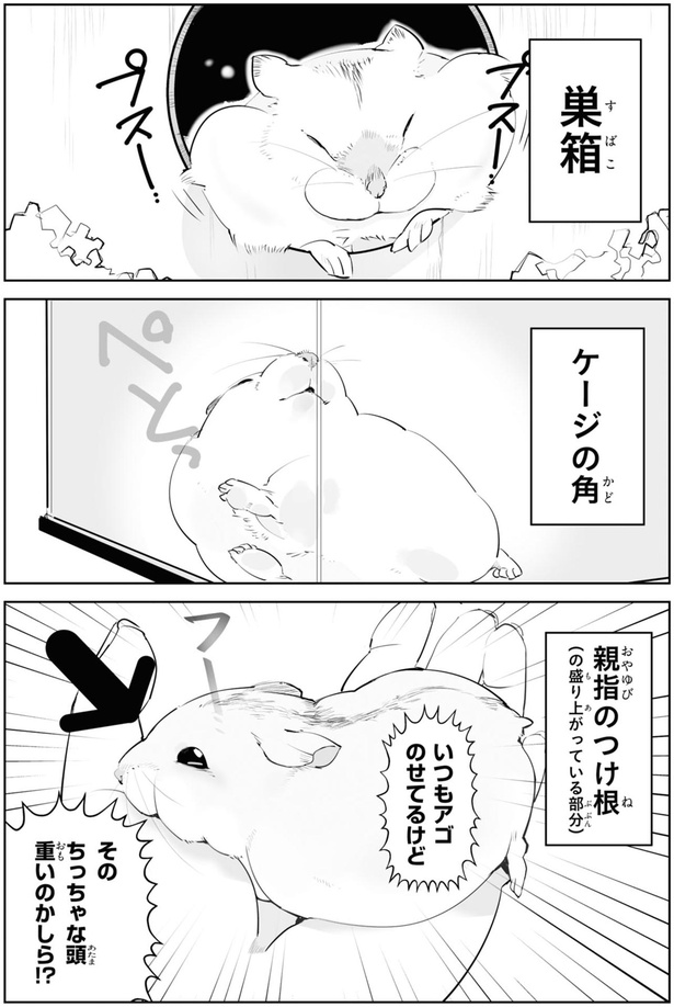 いつもアゴのせてるけど （C）はむはむ／KADOKAWA