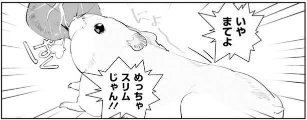 めっちゃスリムじゃん！！ （C）はむはむ／KADOKAWA