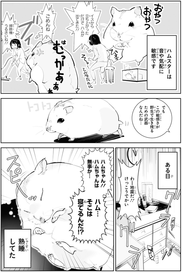 ハムちゃんは無事か… （C）はむはむ／KADOKAWA