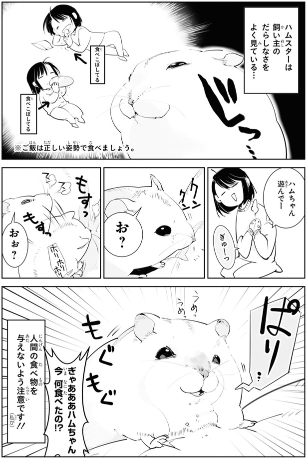 だらしなさをよく見ている… （C）はむはむ／KADOKAWA