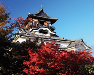 【東海紅葉さんぽ】紅葉で彩る犬山城＆城下町を散策！