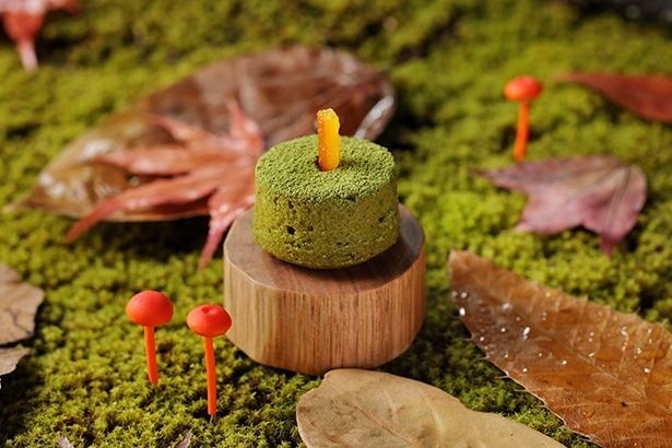 ヒナノヒガサの抹茶のシフォンケーキ