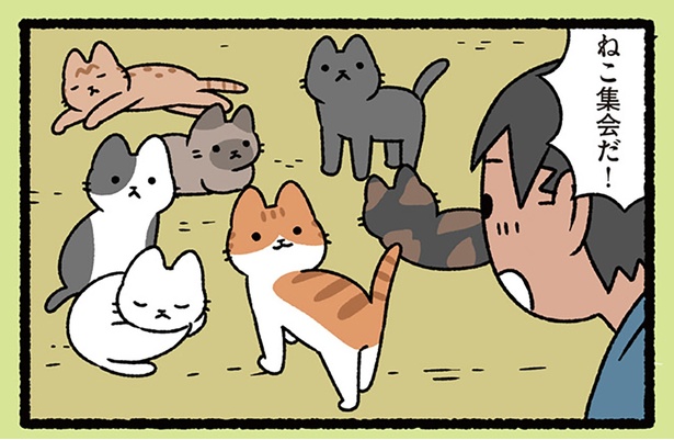 ねこ集会だ！ （C）ぱんだにあ／KADOKAWA