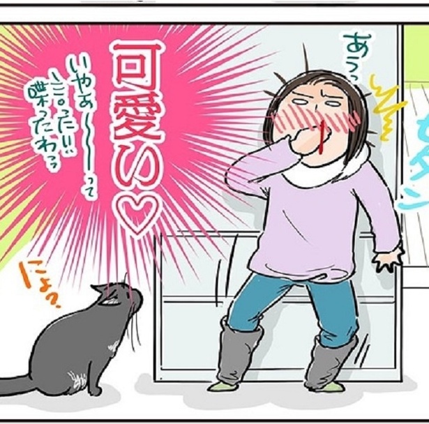 猫はちゃんと喋るもの!?飼い猫との愛しいコミュニケーション