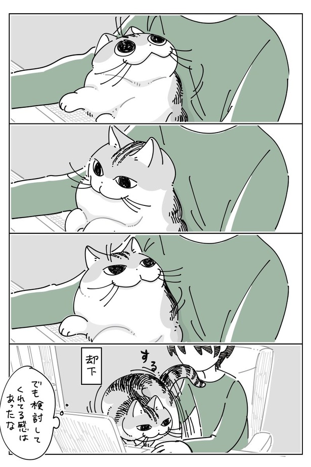 03