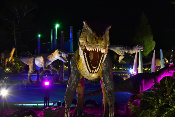 夜に散策する「ディノエイジエリア」はスリル満点！