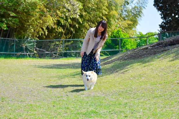 ドッグラン「わんわんPark」