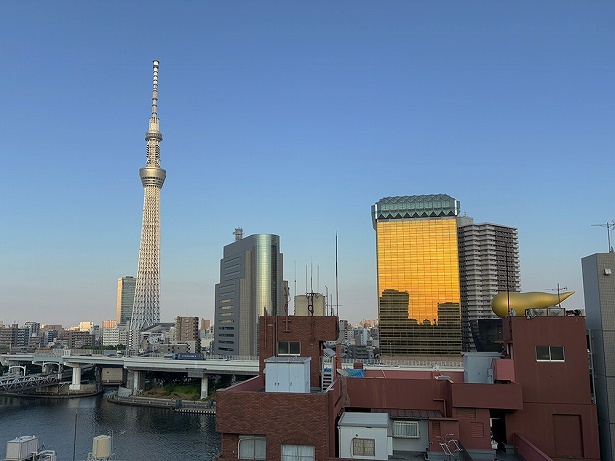 屋上から見るスカイツリーは格別