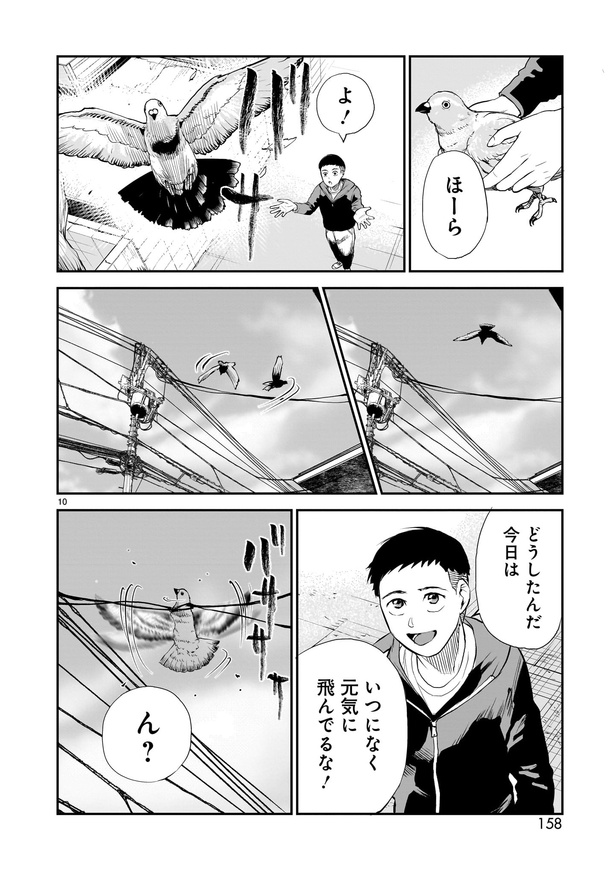 「鳩の鳴く家」10
