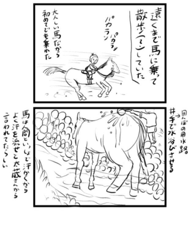 20-3