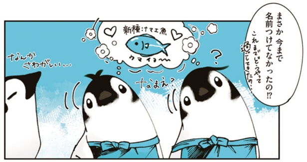 6-2