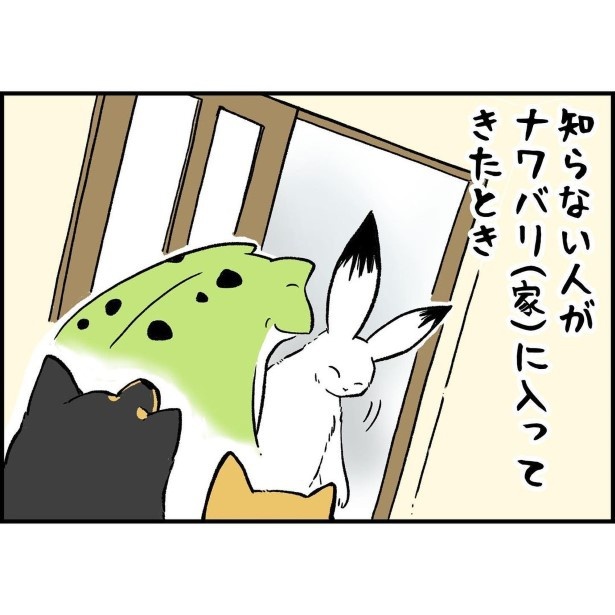 リアクションが反対すぎる柴犬兄弟_2