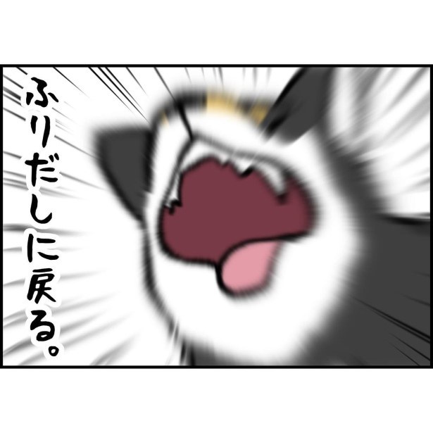 リアクションが反対すぎる柴犬兄弟_9