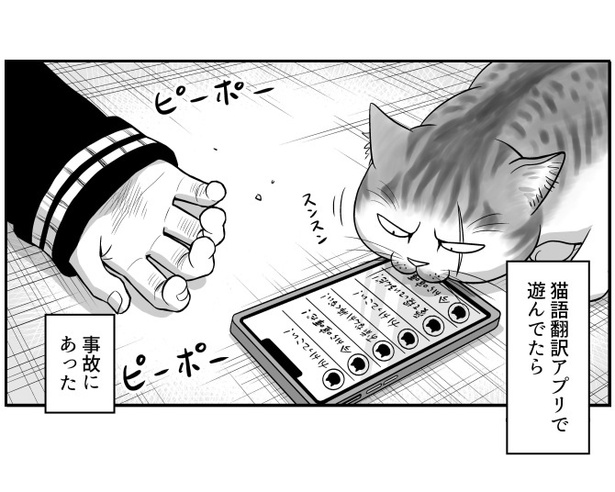猫語翻訳アプリと同化した鈍感くん_p01