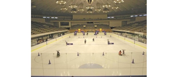 コース全体の様子。写真の右側が左回り、左側が右回りのコース