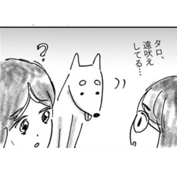 犬に憑かれた女の子が除霊できない話