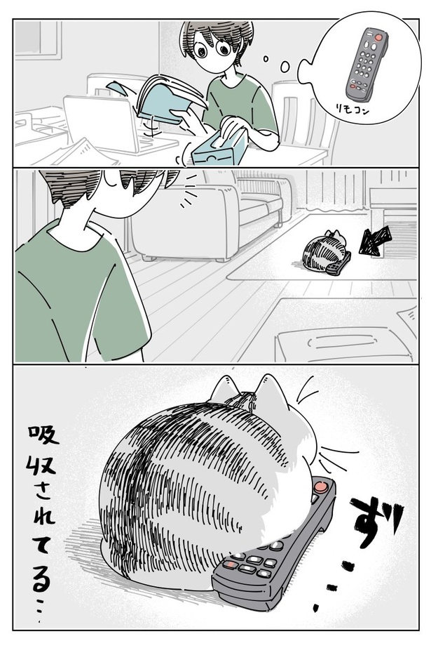 『すり抜けるネコ』01 画像提供：キュルZ@kyuryuZ