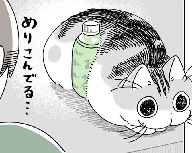 【ネコ漫画】夏場ペットボトルが身体にのめり込む愛猫!?その姿にSNSで「めちゃくちゃわかる」などの共感コメント殺到！