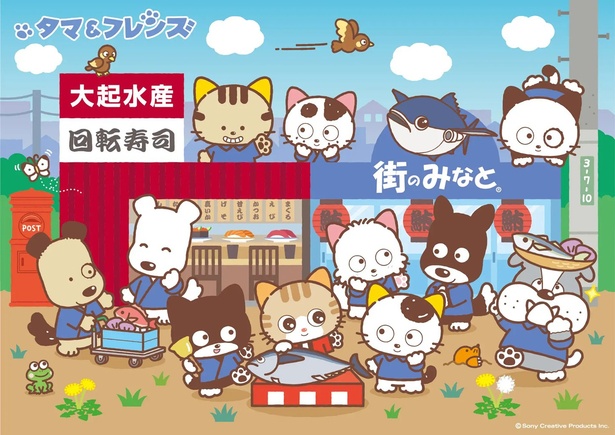 『「タマ＆フレンズ」×大起水産』創業50周年コラボキャンペーンメインビジュアル(1)