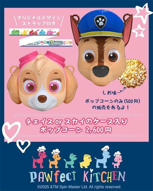 チェイスorスカイのケース⼊りポップコーン(イメージ)
