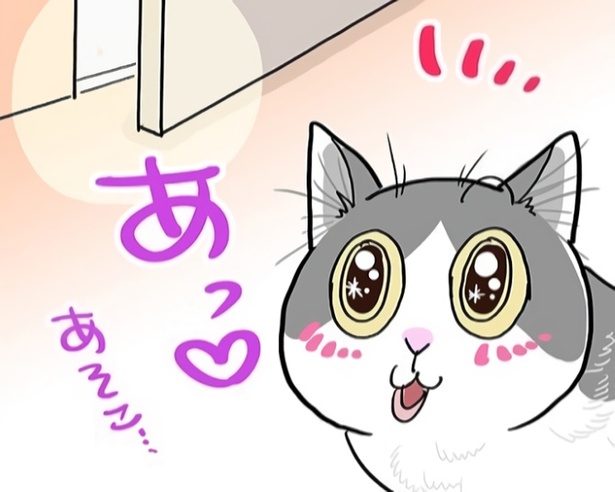 ドアを見つけたら開けずにいられない！