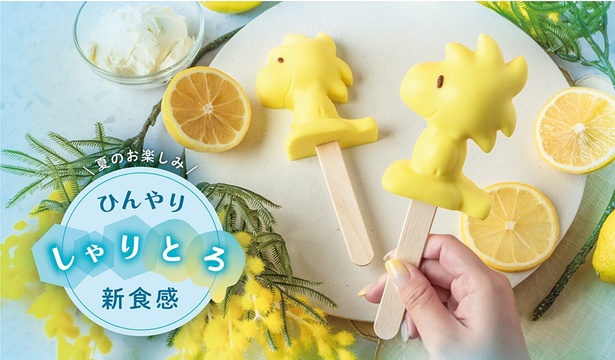 「レアチーズケーキ」(650円)