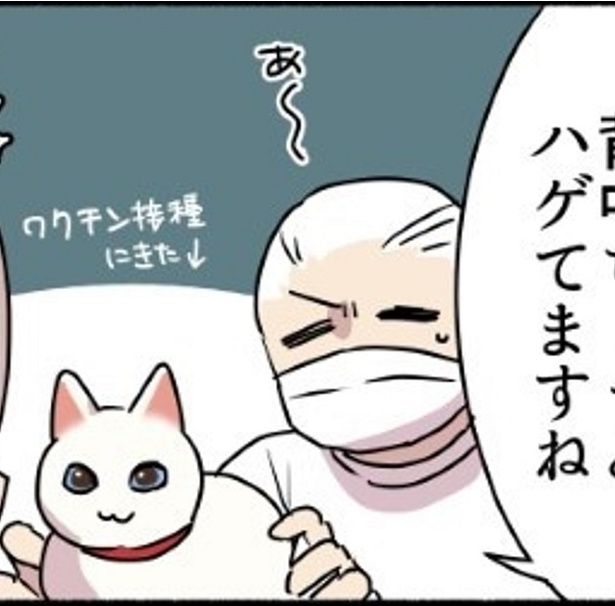 【衝撃の事実！】毛繕いが下手な猫なんているのか…！