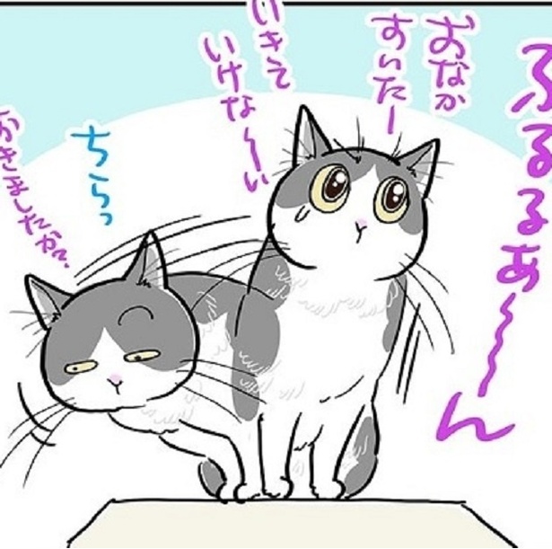 お腹を空かせた猫たちが飼い主をあの手この手で起こす！その方法とは!?