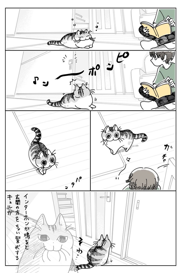 「インターホンの音」01 画像提供：キュルZ@kyuryuZ