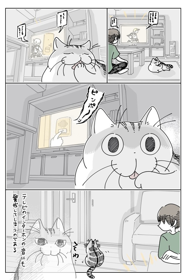 02 画像提供：キュルZ@kyuryuZ
