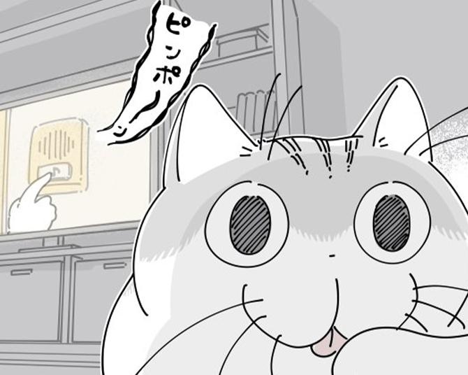 【ネコ漫画】インターホンの音に反応する猫!?その行動に「うちの猫たちと一緒」など愛猫家からの共感コメント続出