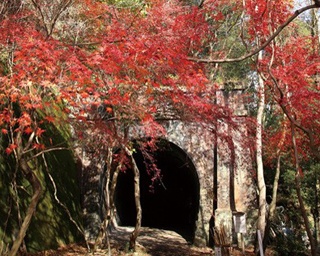 【東海紅葉さんぽ】9日間の特別公開！近代文化遺産・愛岐トンネル群に行ってみよう！