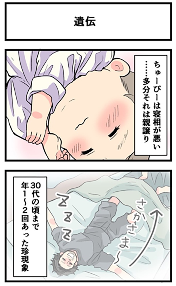 遺伝1-1