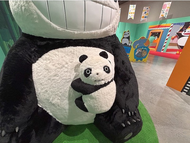 パンちゃんと目が合ってキュン♪