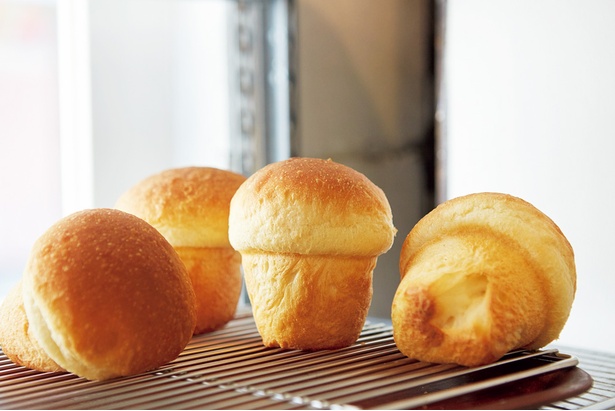 ミルクでこね上げた「牛乳パン」(200円)は、コロンとしたキノコ形。上下で異なるパン生地を使い、一つで2つのおいしさを楽しめる/TOLO PAN TOKYO
