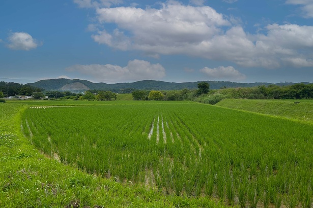 美しい里山の風景