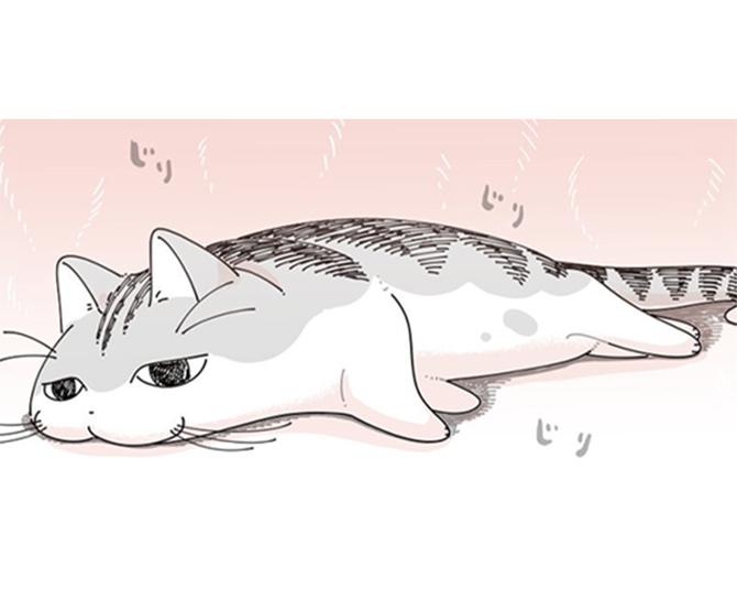 【ネコ漫画】猛暑に耐えられず溶けそうな愛猫!?ネコが選んだ意外な熱中症対策にSNSで7.7万いいね！