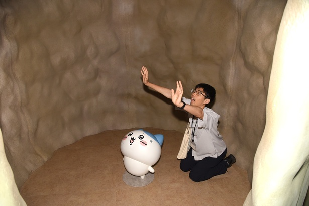 体験コンテンツ「穴に落ちたハチワレ」
