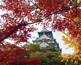 【紅葉ハイキング】天守閣をバックに紅葉が映える！「大阪城」のおすすめコース