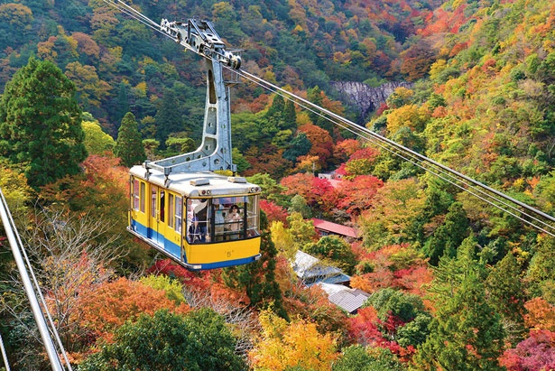 紅葉ハイキング 紅葉を見下ろす大パノラマ 有馬六甲ロープウェーで空中散歩 ウォーカープラス