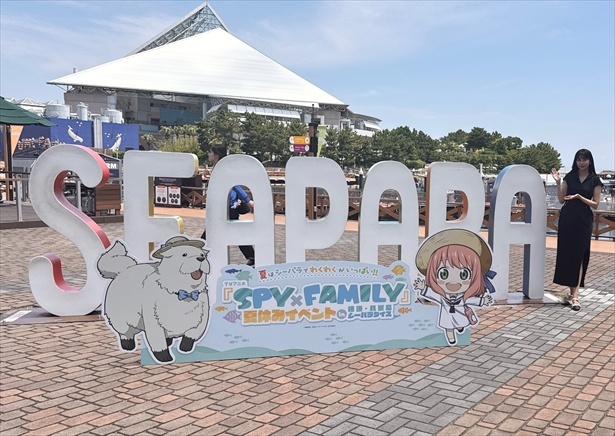 【写真】シーパラに来たぞ！という写真が撮れるうれしいTVアニメ『SPY×FAMILY』フォトスポットも 